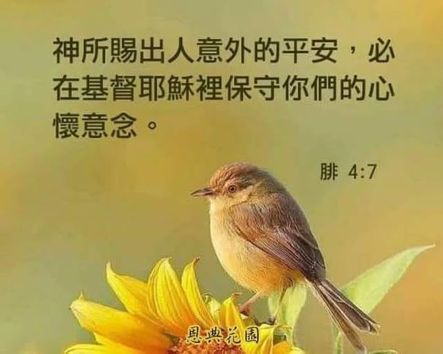 聖方濟老人長期照顧中心-募款專案