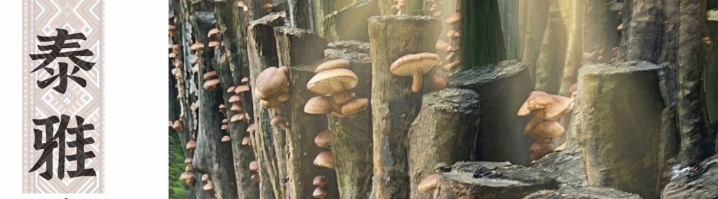 聖方濟老人長期照顧中心-募款專案